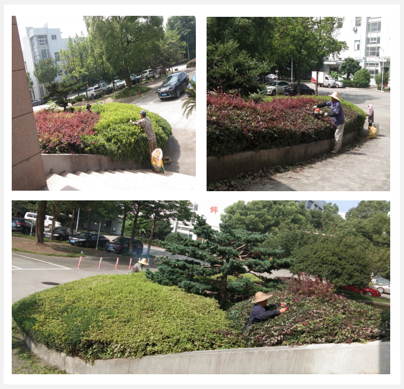 美化綠化，我們在行動      